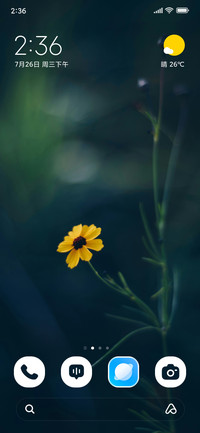 Sunlit Petals