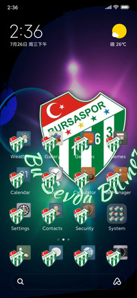 BURSA SPOR
