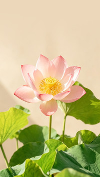 不负盛夏，不负时光