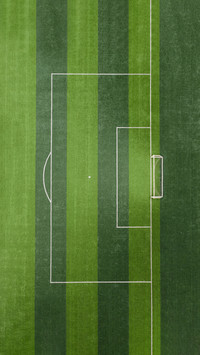 The restricted area of thesoccer field goal