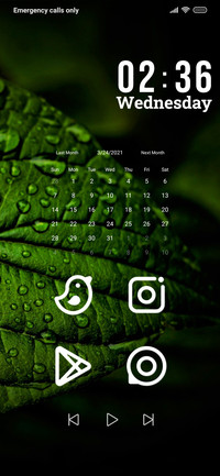 Drops On Leaves