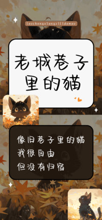 老城巷子里的猫