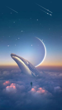 唯美鲸空