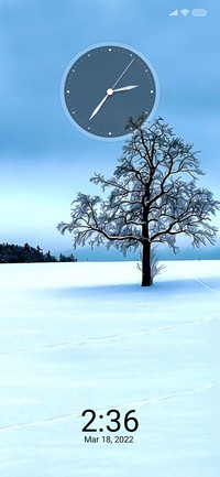 Tree Tz