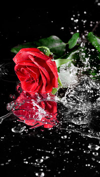 Romantic Valentine's Day-02