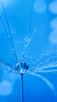 Blue water droplet