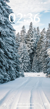 Winter