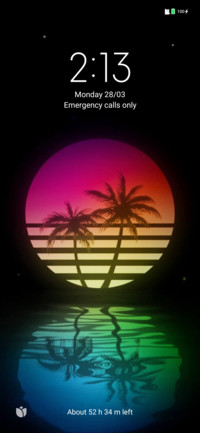 Red palm v12.5