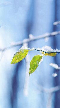 The meteorological station issued six consecutive