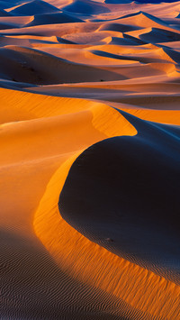 Taklamakan desert turns into grassland