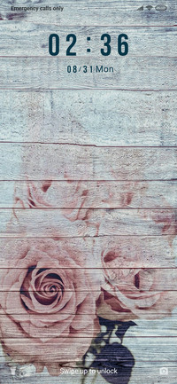 Roses on wooden wall_3MDS
