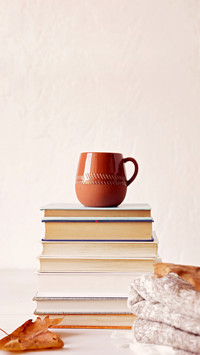 The accumulation of knowledge lies in reading