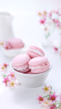 A macaron or French macaroon is a sweet meringue