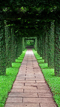 India-Pathway
