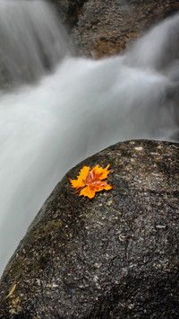 Beginning of Autumn
