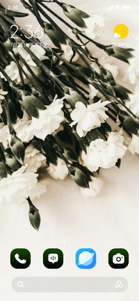 Soft Petals