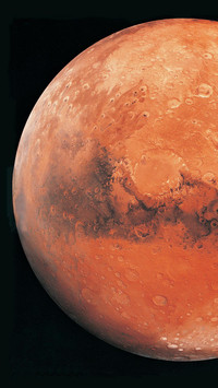 VCG41dv028234