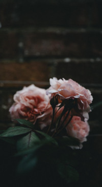 Selected For You (7)
