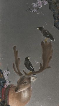 李娜 游园惊梦