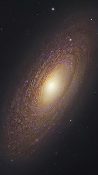 VCG41495835545