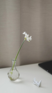 Daffodil in a vase on the table in a cozy sunny room