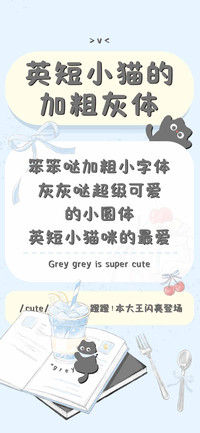英短小猫的加粗灰体
