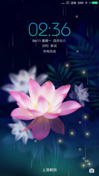 护眼主题梦幻荷花