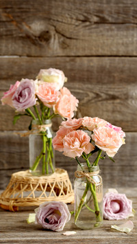 How to identify whether flowers are fresh 0
