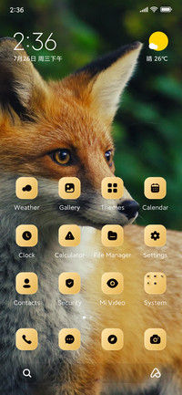 Foxy Look