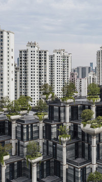 国内游“小红书”