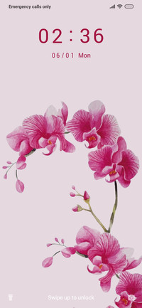 PinkFloral_3MDP