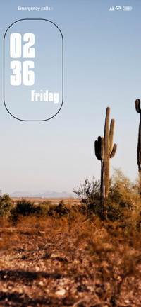 Cactus