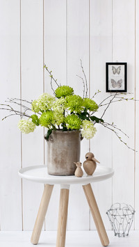 Misunderstanding of potted flower culture 71
