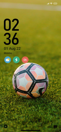 Sports_Grass