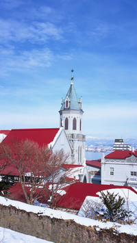 international-building