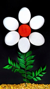 partha12