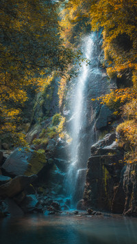 Skinny west lake autumn natural scenery