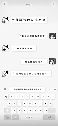 一只撑气泡的小宅猫