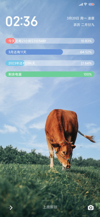 2021 牛气冲天