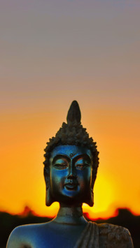 partha3