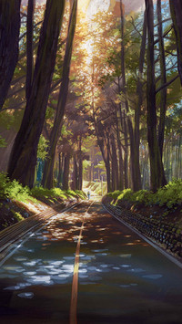 森林公路