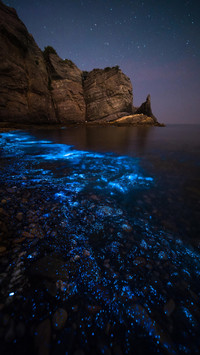 滨海之城大连