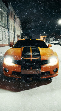 Cars B2 (1)