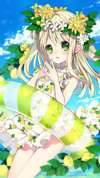 夏至未至