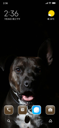 Lazy Dog