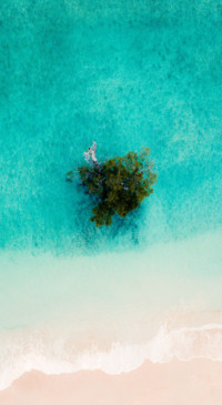 Little World (35)