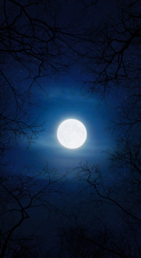 Nature HD - 2020-06-02T130046.251