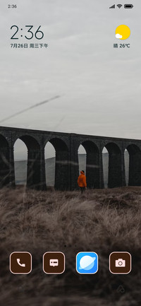 Bridge Link