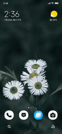 Monochrome Daisy