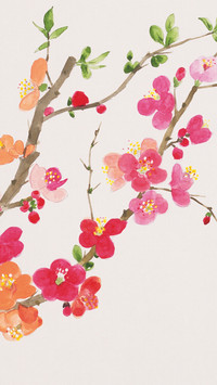 梅花弄